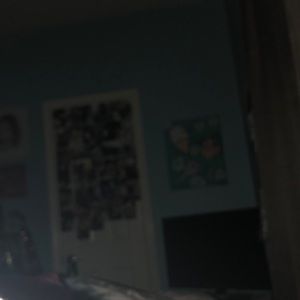 Meet your Posher, Sydney